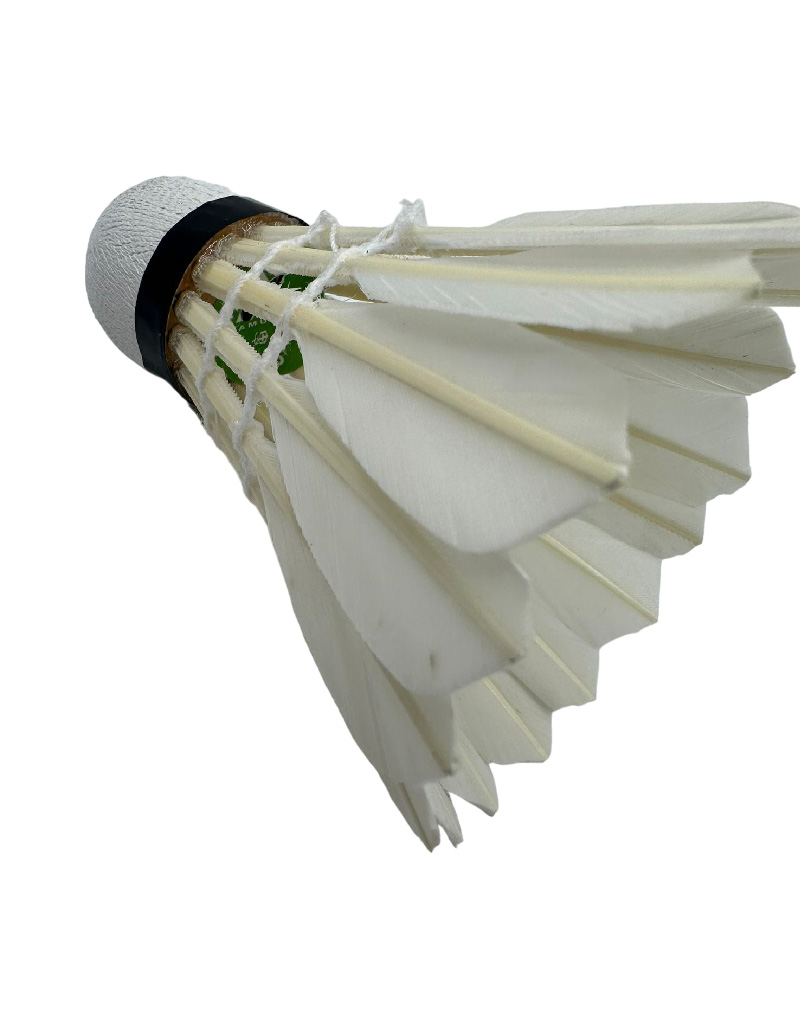 ريش ريش طبيعي 402 AMUSI - Image 7