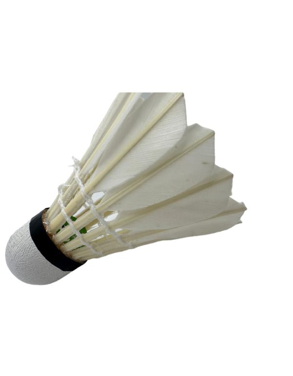 ريش ريش طبيعي 588 AMUSI - Image 6