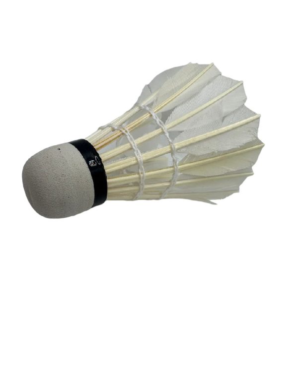 ريش ريش طبيعي 588 AMUSI - Image 10